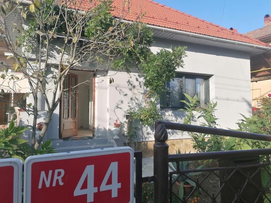 Villa Casa Cu Trandafiri Baia Mare Exterior foto