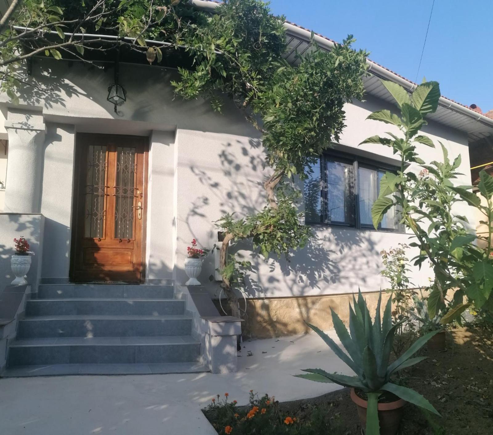Villa Casa Cu Trandafiri Baia Mare Exterior foto