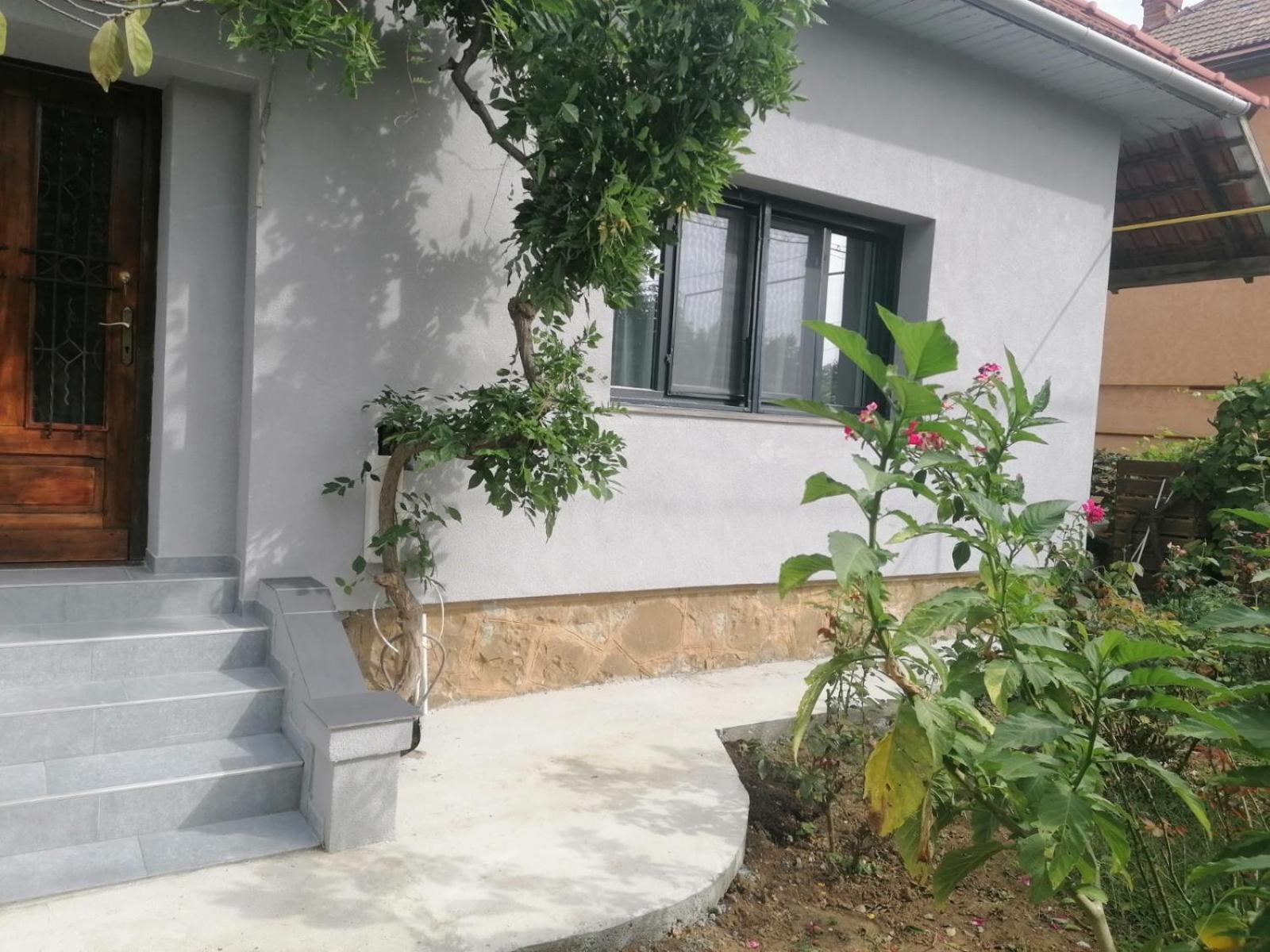 Villa Casa Cu Trandafiri Baia Mare Habitación foto